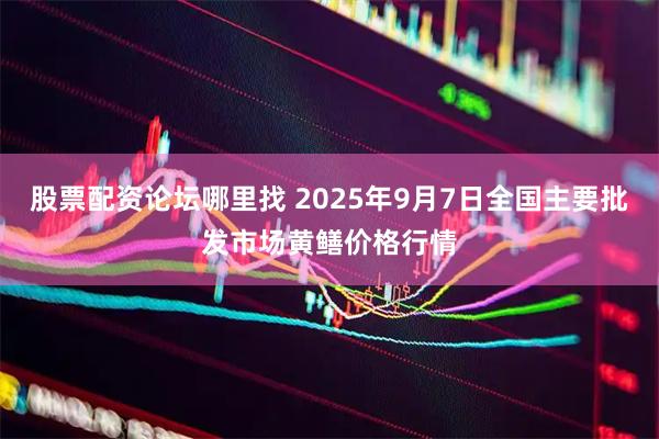 股票配资论坛哪里找 2025年9月7日全国主要批发市场黄鳝价格行情