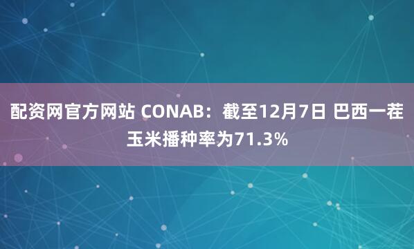 配资网官方网站 CONAB：截至12月7日 巴西一茬玉米播种率为71.3%